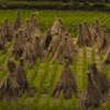 三角帽子と秋の風景