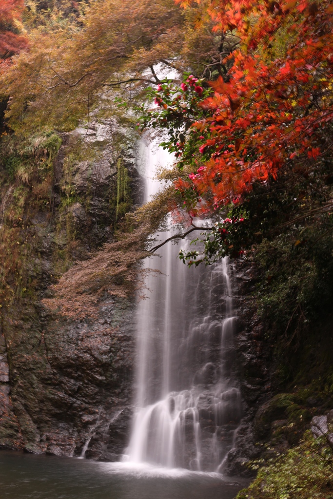 箕面大滝と秋の紅葉