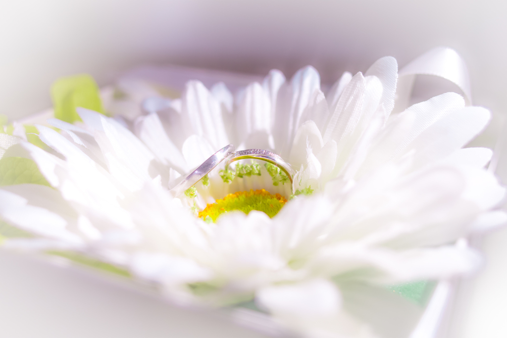 結婚　リング