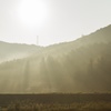 朝の光に守られて