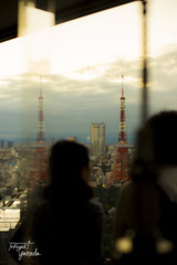 ２塔の東京タワーと新しいシンボル