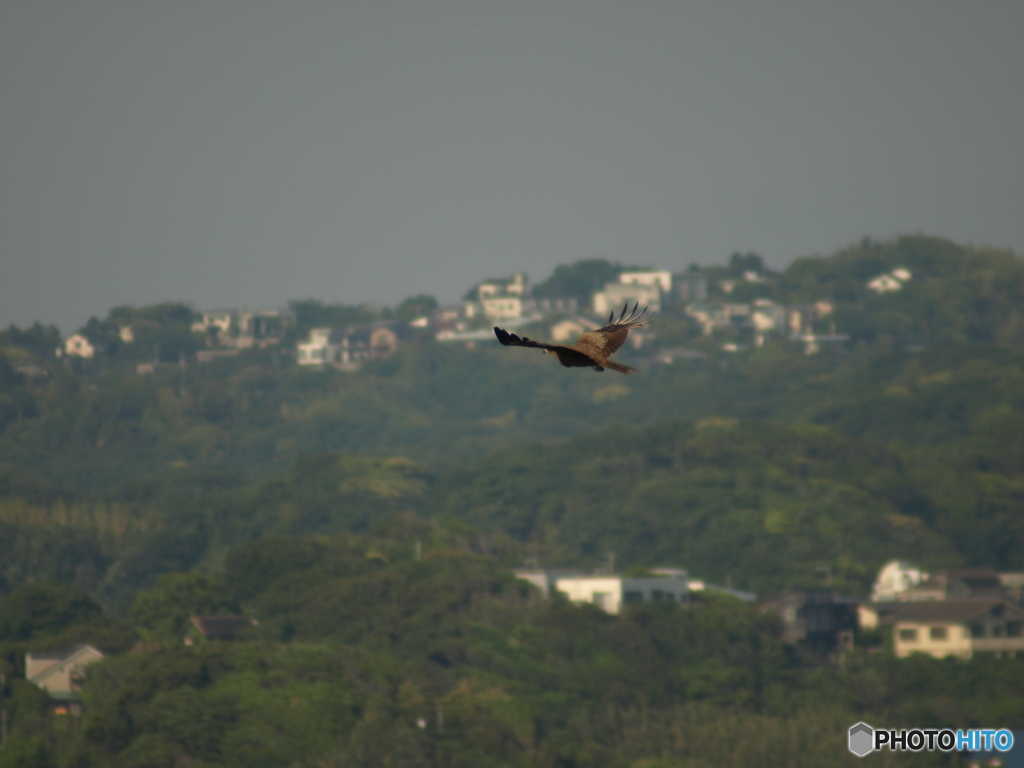 Fly over the city......