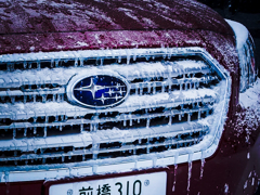 Frozen