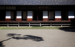 陰影
