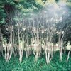 河川敷の一角