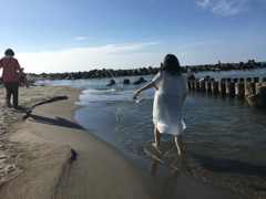 夏の海辺