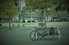 サイクリング２