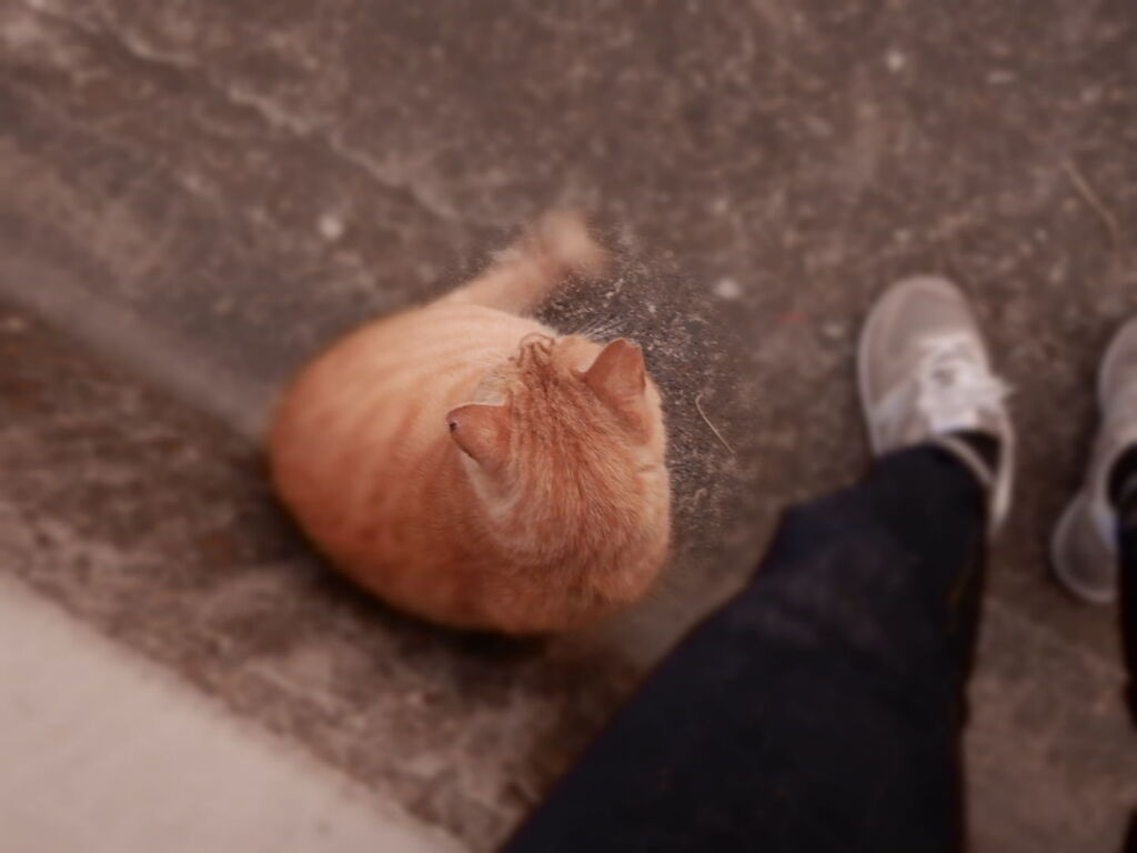 ♭