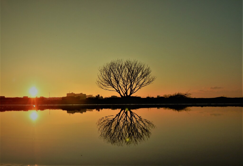 Another world