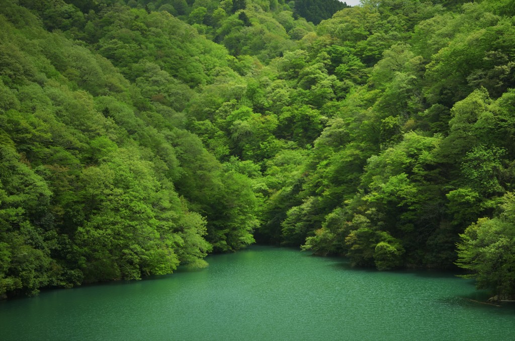 green green