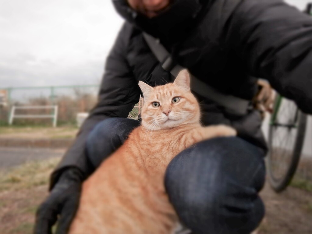  今日のにゃんこ