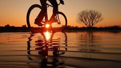 小さな海を渡る自転車