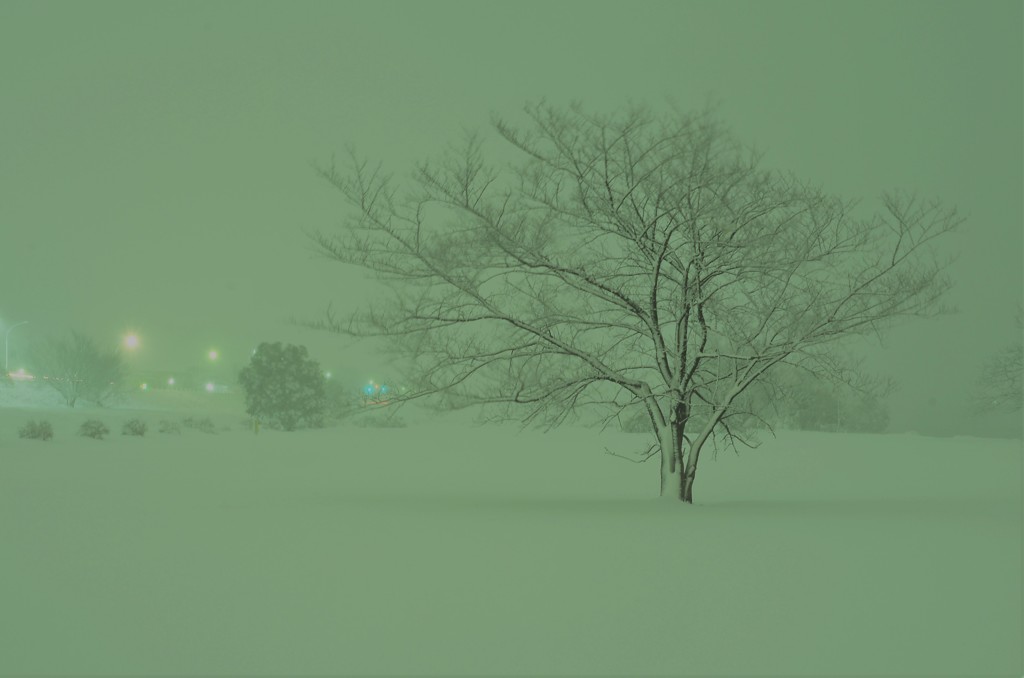 雪の降る夜