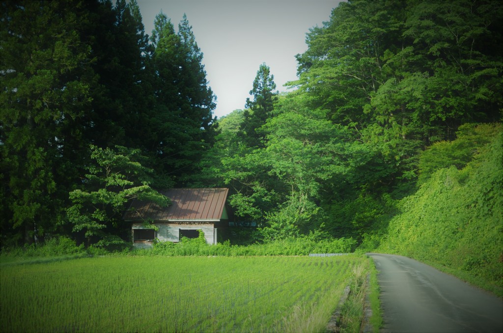 トトロ