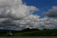 感情的な空