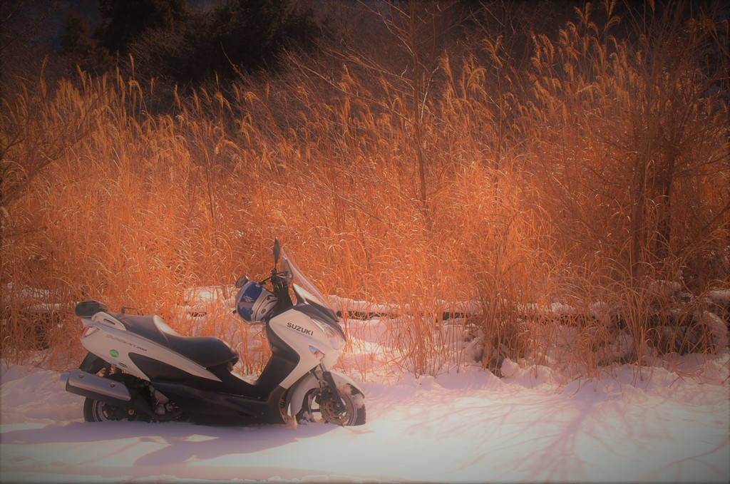 snow  adventure