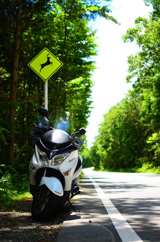 touring   in    fuji
