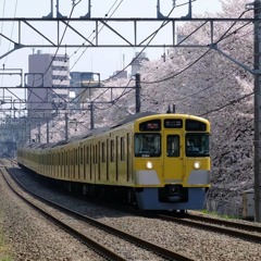 西武鉄道と桜