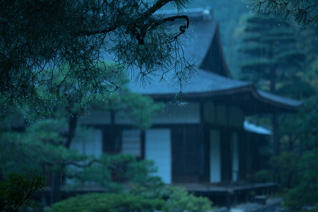 侘び寂び