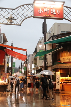雨の日に出かけよう