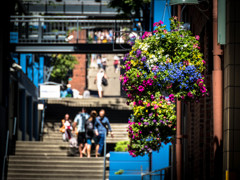 Back street in Seattle