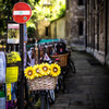 Sunflowers on the bicycle