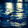 after raining