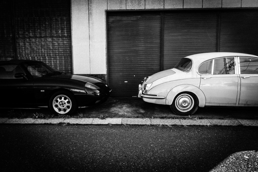 Black & White