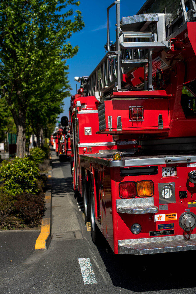 A lot of fire engines