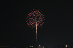 2019_hanabi