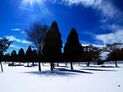 11月4日　大山鏡ヶ成