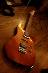 Custom Guitar