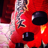 桜と提灯
