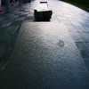 Distortion