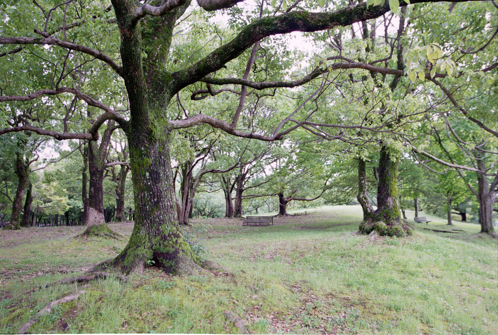 Park