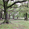 Park