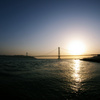 The Bridge
