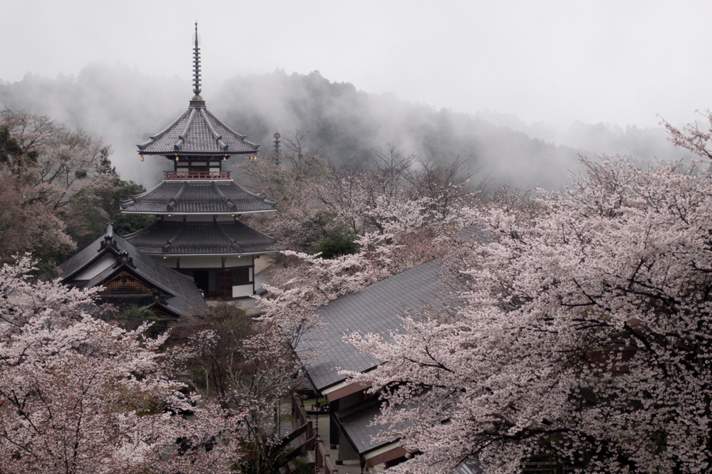 Tranquility