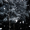 Snowing Night