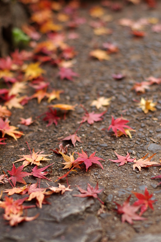 Time to Say Good-bye