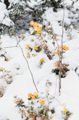 雪の中で