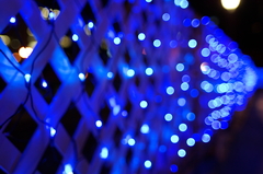 Blue Light