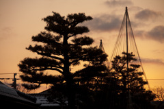 夕暮れ