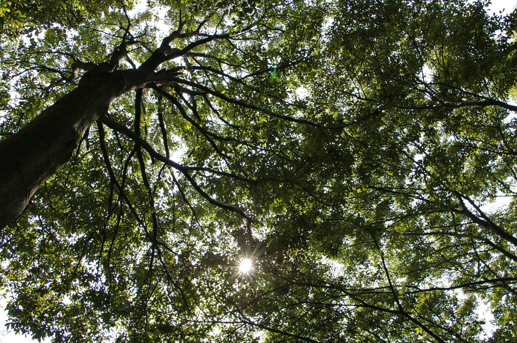 When I Look Up