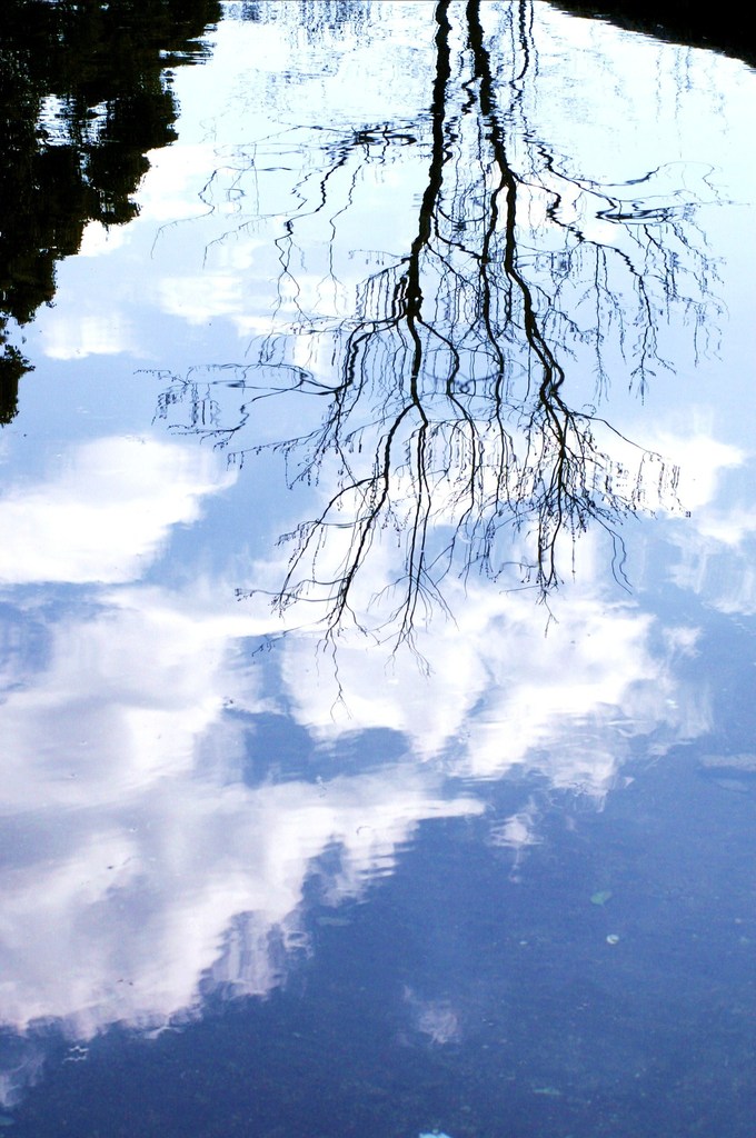 Reflection II