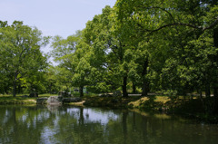 初夏の装い