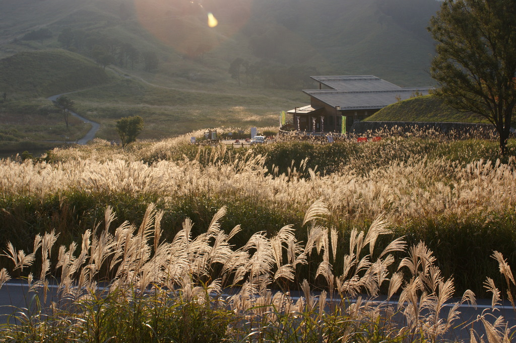 砥峰高原