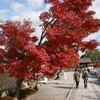 DSC01419