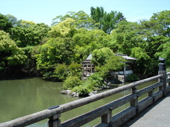 DSC03193
