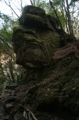 ゴリラ岩